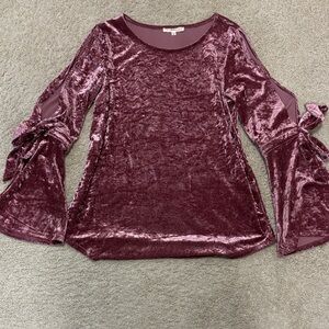 Velvet Bell Sleeve Top in Purple